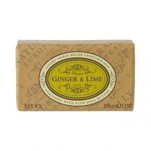 Naturally European Naturally European Ginger & Lime Palasaippua 230 g